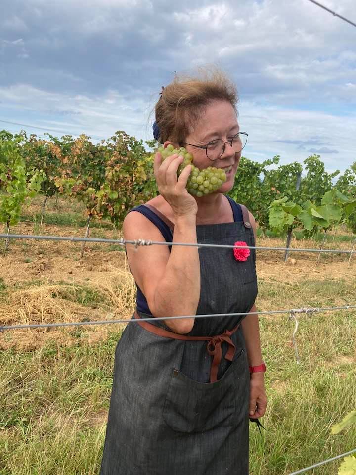 Heidi Schrock grape vineyard